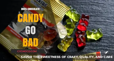 The Shelf Life of Chocolate Candy: Does It Really Go Bad?
