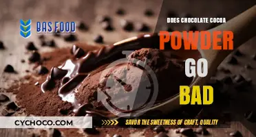 The Shelf Life of Chocolate Cocoa Powder: Does It Go Bad?