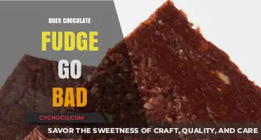 The Shelf Life of Chocolate Fudge: Does It Go Bad?