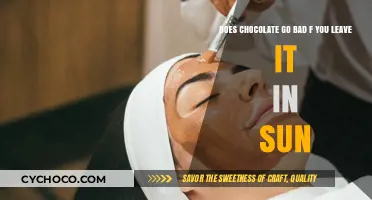 Sunlight and Chocolate: A Recipe for Disaster or Just a Myth?