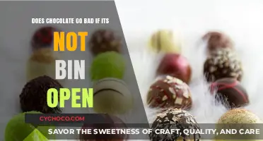 The Shelf Life of Chocolate: Does It Go Bad If Not Bin Open?