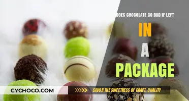 The Shelf Life of Chocolate: Does It Go Bad if Left in a Package?