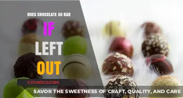 The Shelf Life of Chocolate: Does It Go Bad If Left Out?