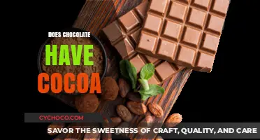 Unveiling the Rich Connection: Chocolate and Cocoa Explained