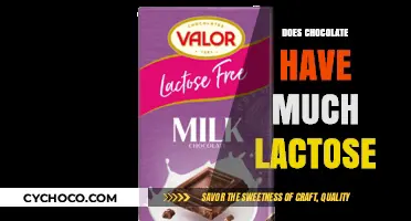 Unveiling the Lactose Content in Chocolate: A Sweet Surprise?