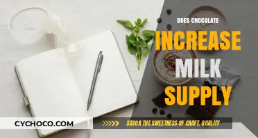 Sweet Success: Can Chocolate Boost Your Milk Supply?