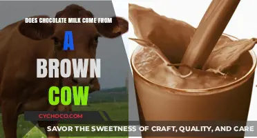 The Myth of Chocolate Milk: Unraveling the Brown Cow Mystery