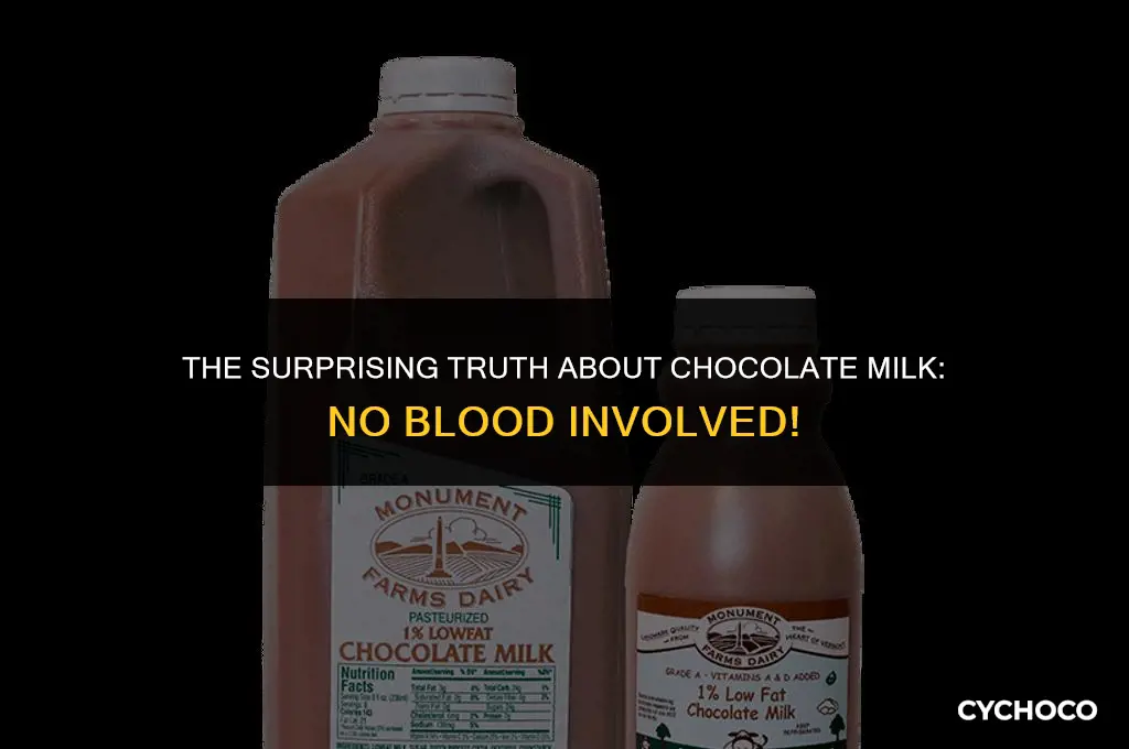 does chocolate milk have blood in it
