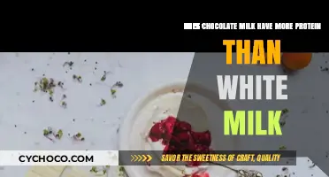 Chocolate Milk vs. White Milk: Which Packs More Protein?