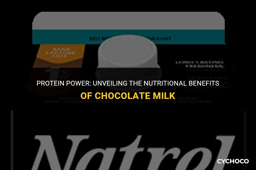 does chocolate milk have protein