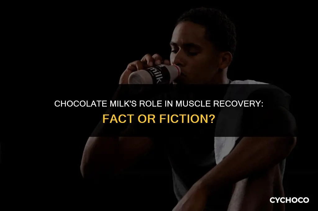 does chocolate milk help sore muscles