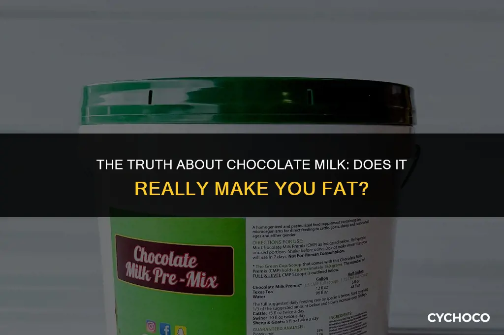 does chocolate milk make you fat