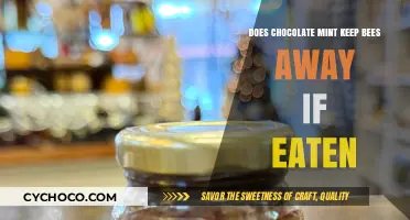 Debunking Myths: Chocolate Mint's Surprising Effect on Bees