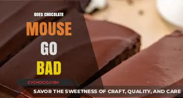 The Shelf Life of Chocolate Mousse: Does It Go Bad?