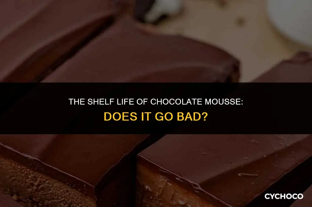 does chocolate mouse go bad
