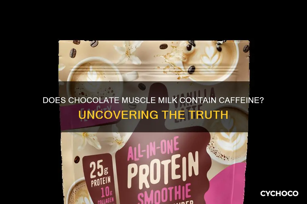 does chocolate muscle milk have caffeine