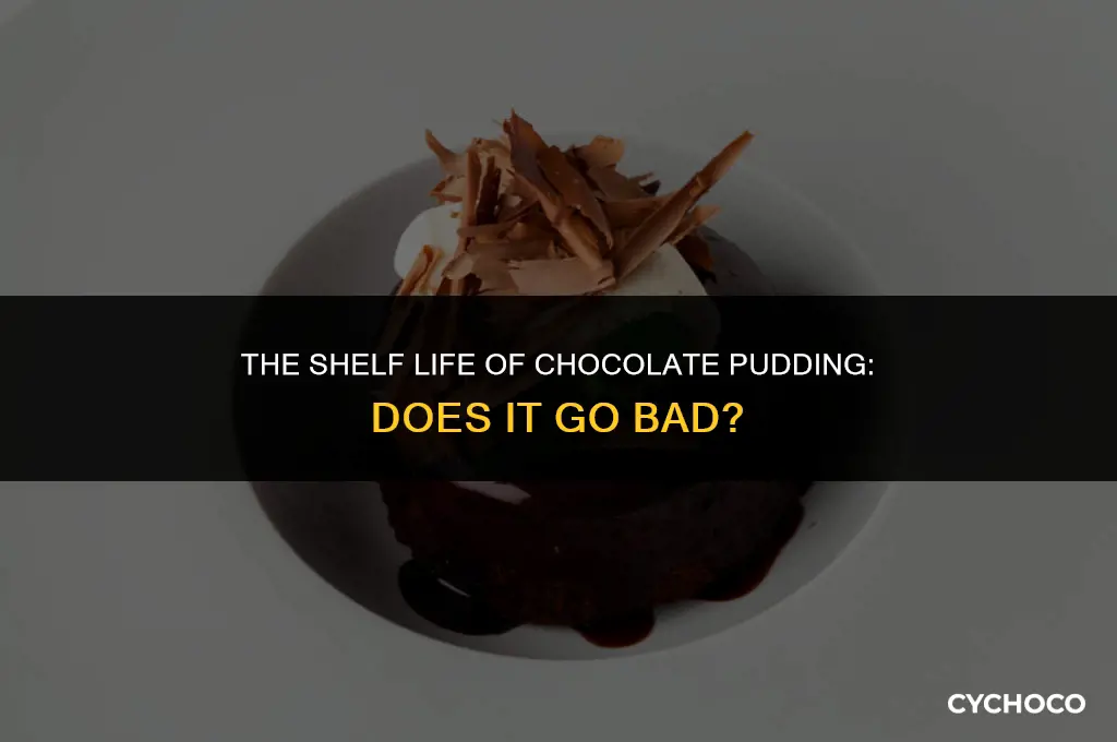 does chocolate pudding go bad
