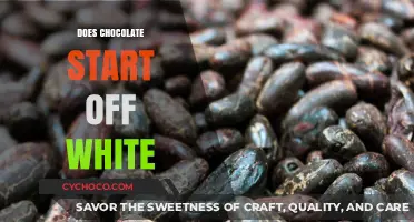 Unveiling Chocolate's Origins: The Surprising Truth About Its Color