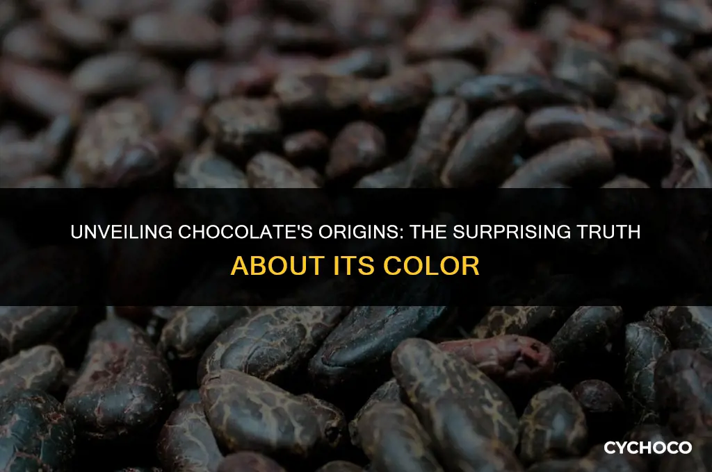 does chocolate start off white