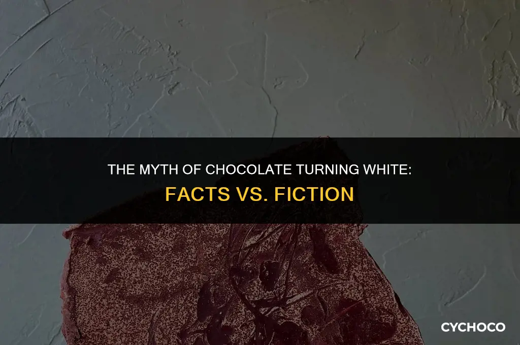does chocolate turn white when it goes bad