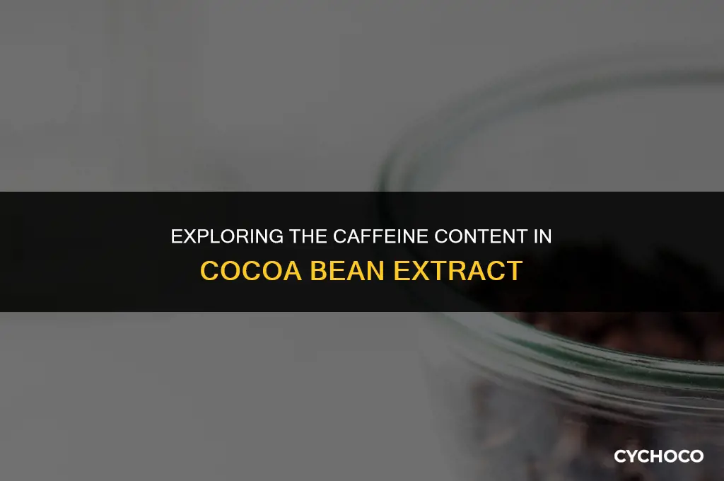 does cocoa bean extract have caffeine