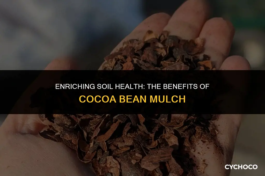 does cocoa bean mulch add to soil