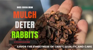 Effective Gardening: Can Cocoa Bean Mulch Keep Rabbits Away?
