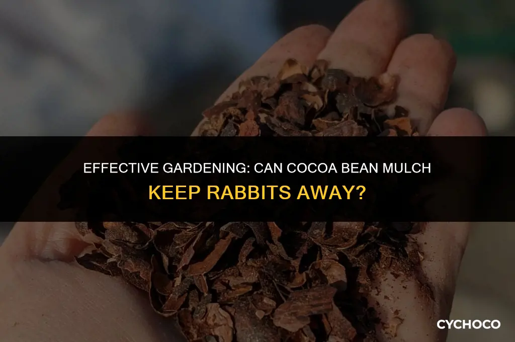 does cocoa bean mulch deter rabbits
