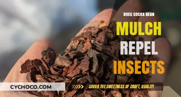 Exploring the Insect-Repelling Properties of Cocoa Bean Mulch