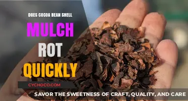 The Quick Decomposition Guide: Cocoa Bean Shell Mulch Insights