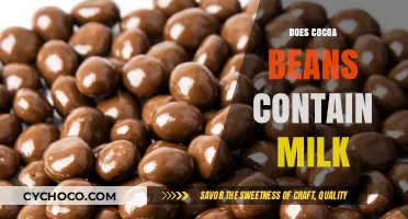 Unveiling the Truth: Do Cocoa Beans Naturally Contain Milk?