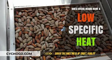Exploring the Thermal Properties of Cocoa Beans: Low Specific Heat?