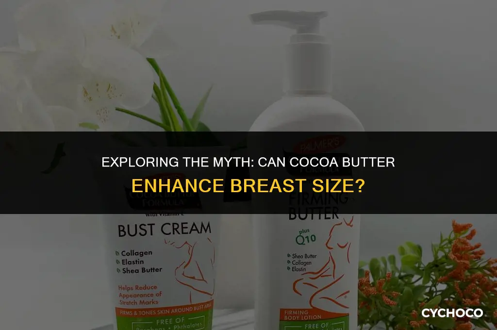 does cocoa butter make your breasts grow