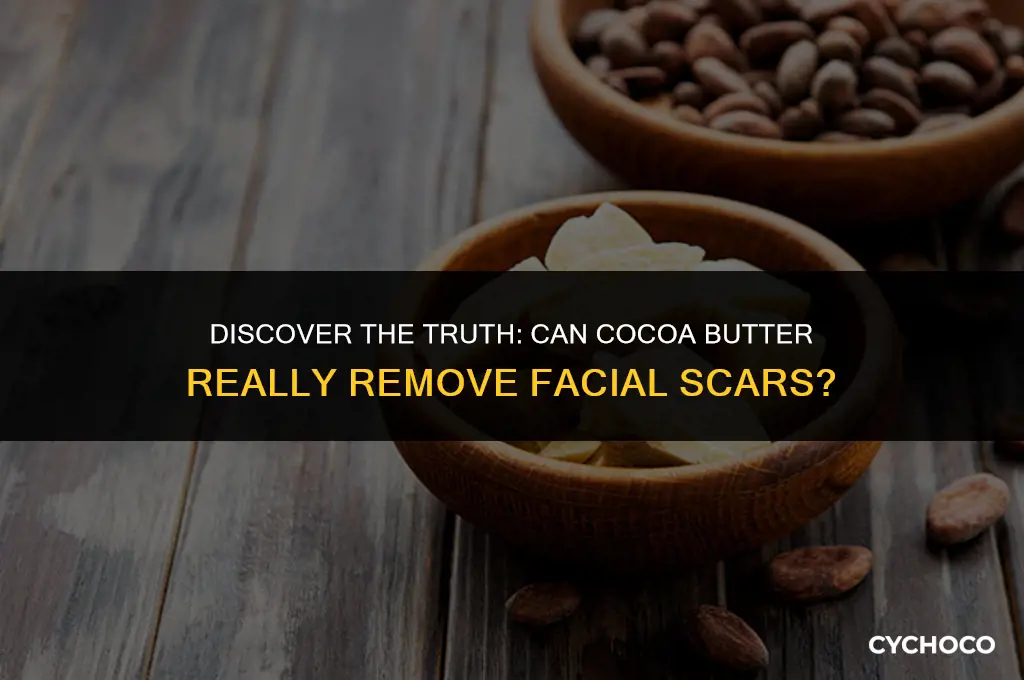 does cocoa butter remove scars on face