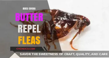 Natural Flea Repellent: The Truth About Cocoa Butter's Effectiveness