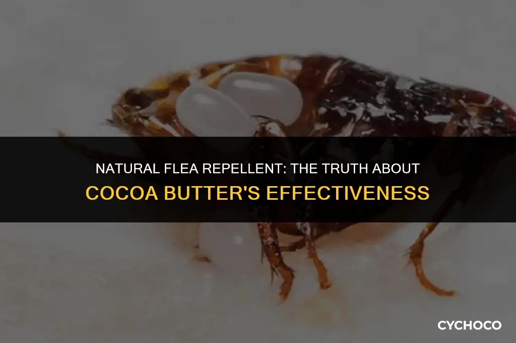 does cocoa butter repel fleas