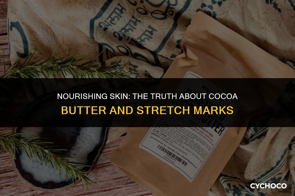 does cocoa butter smooth stretch marks