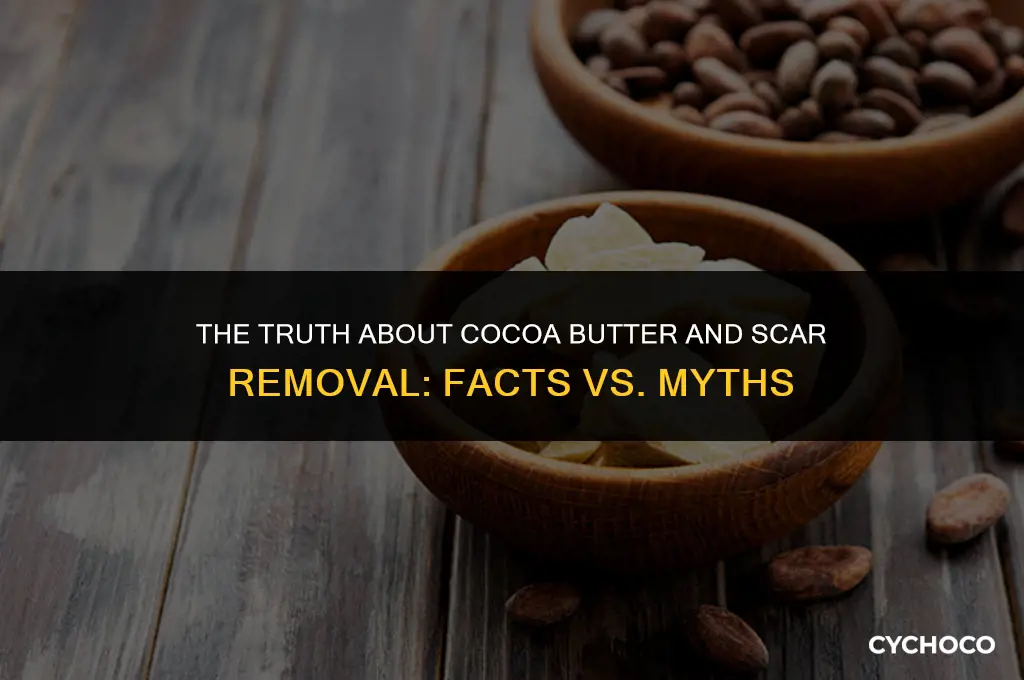 does cocoa butter stick remove scars