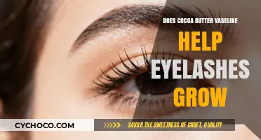 Nourishing Your Lashes: The Truth About Cocoa Butter and Vaseline