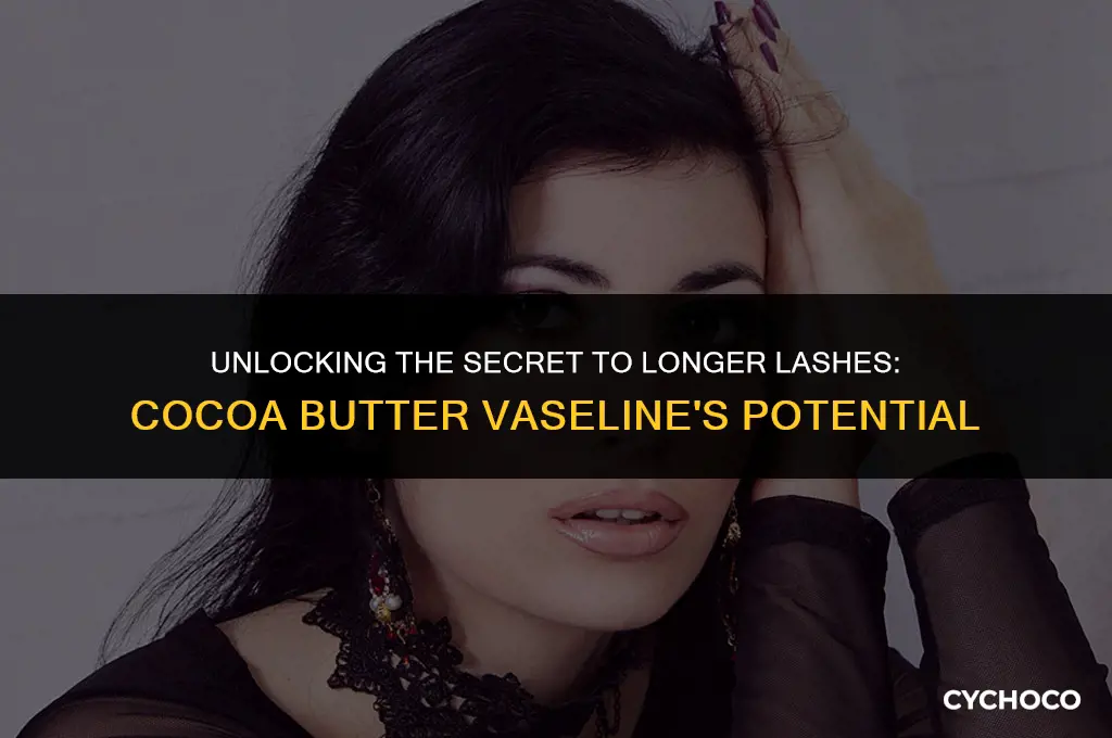does cocoa butter vaseline make your eyelashes grow
