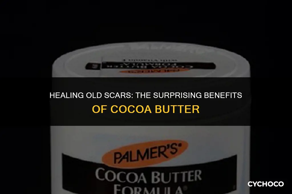 does cocoa butter work on old scars