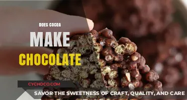 Unveiling the Sweet Truth: Cocoa's Journey to Chocolate Delight