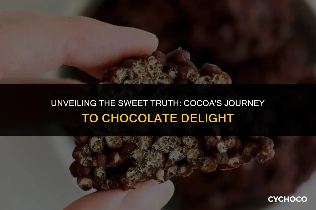 does cocoa make chocolate