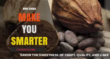 Unveiling the Cognitive Benefits of Cocoa Consumption