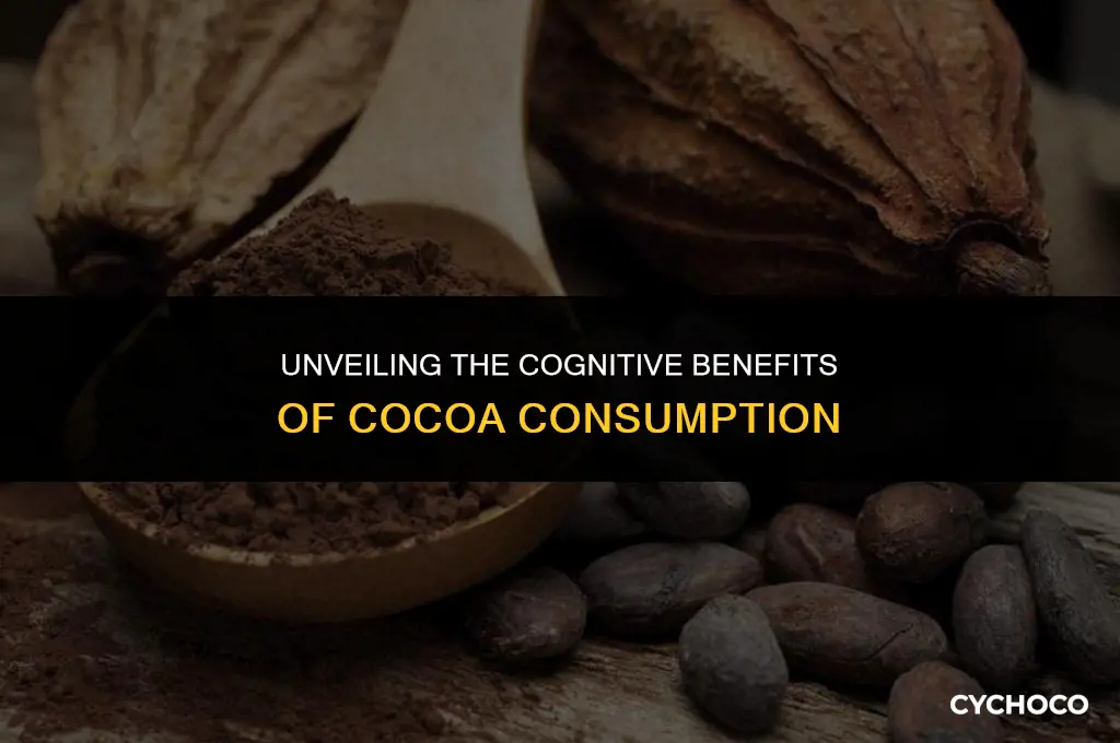 does cocoa make you smarter