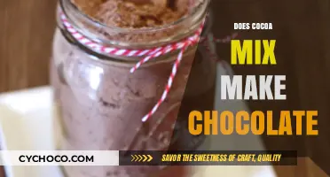 Unveiling the Truth: Does Cocoa Mix Equal Chocolate?