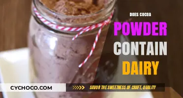 Unveiling the Truth: Is Cocoa Powder Truly Dairy-Free?