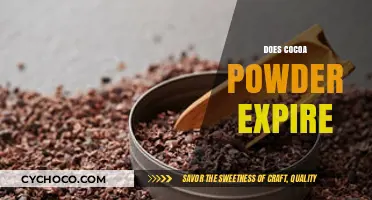 Does Cocoa Powder Expire? Shelf Life and Storage Tips Revealed