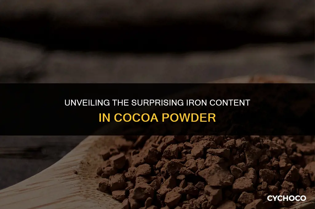 does cocoa powder have iron