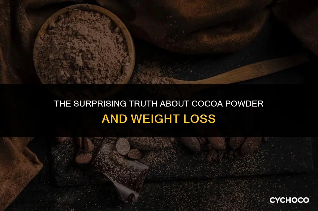 does cocoa powder make you lose weight